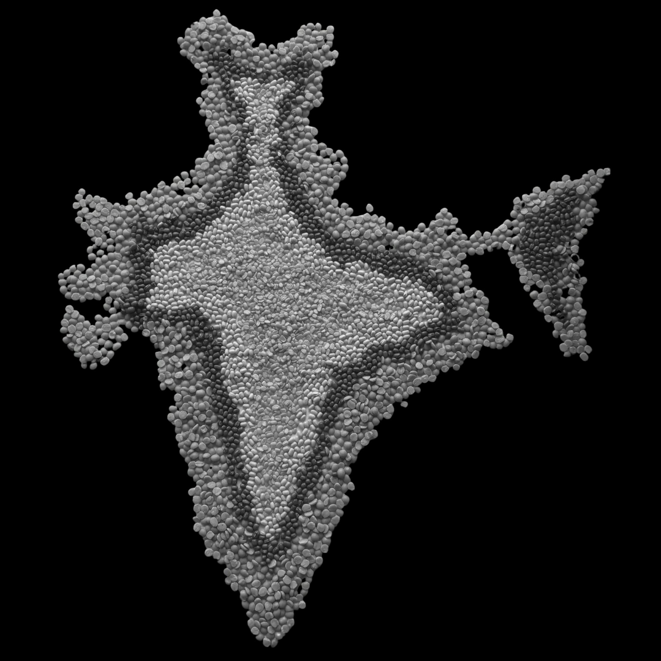 India commodity trade network
